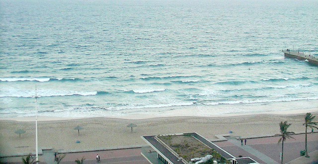 durban futacam 2025/11/21 14h00