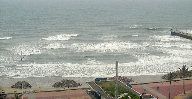 durban lineup photo 2025/12/16 10h00