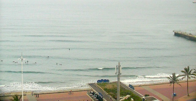durban swell.co.za 2025/05/30 06h00