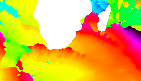 surf report