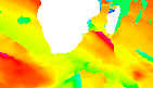 surf report