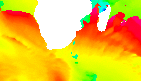 surf report