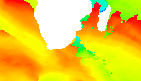 surf report