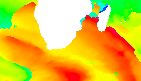 surf report